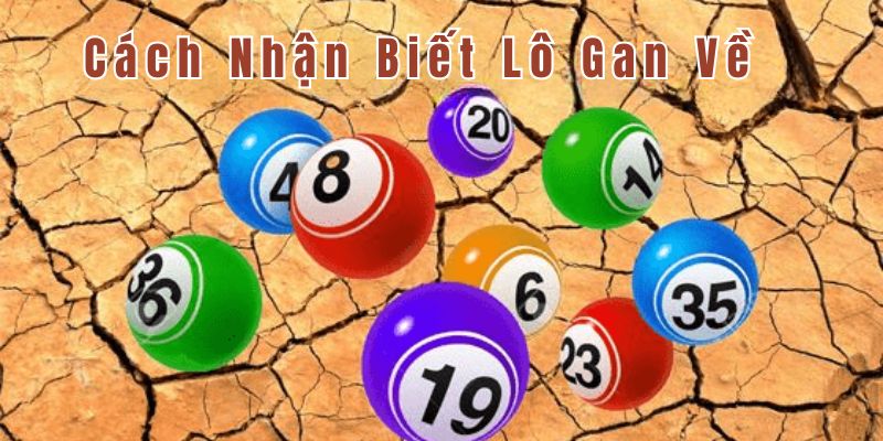 Phương pháp nhận biết lô khan miền Bắc cho người chơi Phương pháp nhận biết lô khan miền Bắc cho người chơi