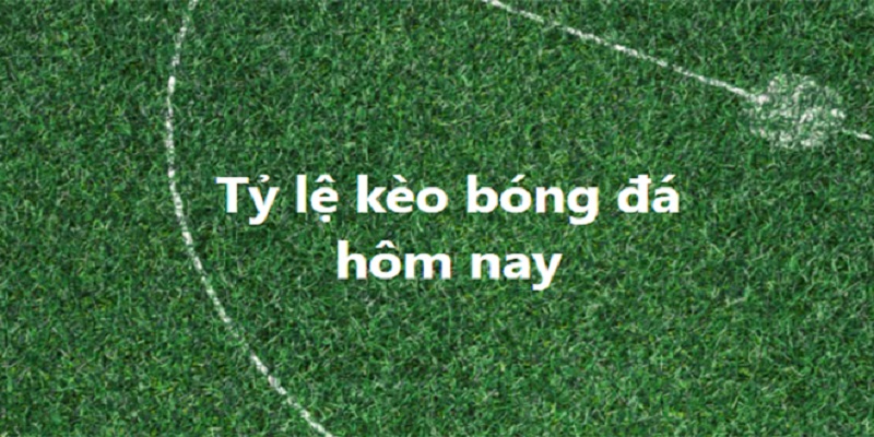 Lý do bet thủ nên tham gia vào tỷ lệ kèo nhà cái 5